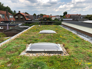 Een lichtgewicht sedumdakoplossing, geschikt voor daken met lage draagkracht.